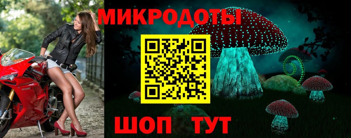 Галлюциногенные грибы прущие грибы Вологда