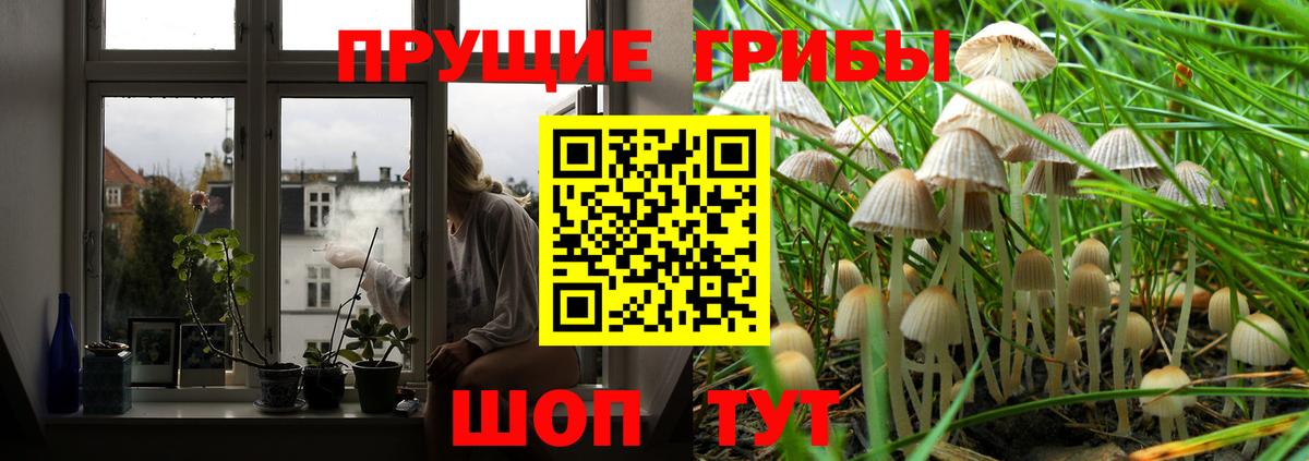 даркнет сайт  Псилоцибиновые грибы Cubensis  Вологда  Вход с VPN  Псилоцибиновые грибы ЛСД 