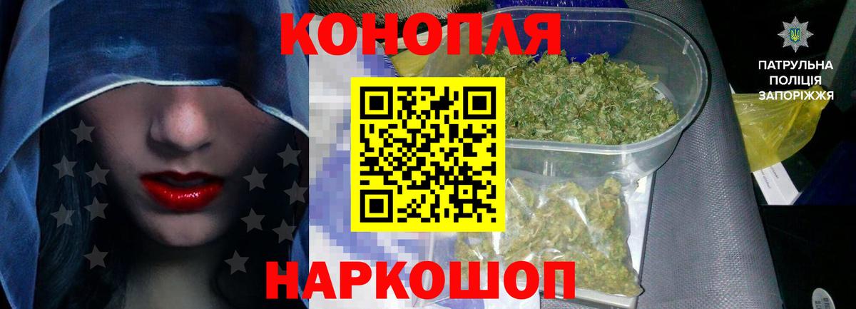 Конопля White Widow  Вход с VPN  Вологда  Бошки марихуана тримм 